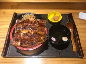 Large Unagi Don
