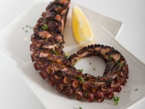 Htapodi