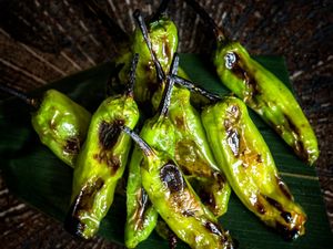 Flame-grilled Shishito Peppers