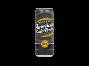 Soda (325ml)