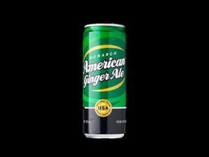 Ginger Ale (325ml)