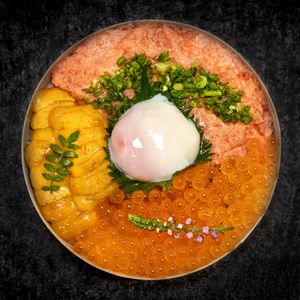 Negitoro Kaisen Donburi