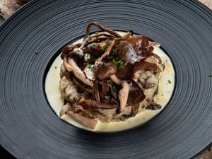 Wild Mushroom Risotto