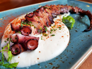 Octopus Leg
