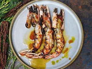 Spencer Gulf Prawns