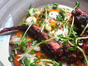 Charred Fremantle Octopus (cooked weight 90g - 100g)