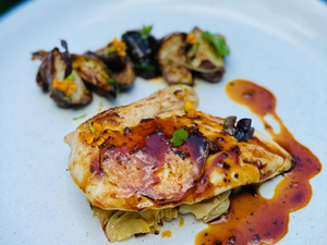 Organically Farmed Lacto Chicken Breast